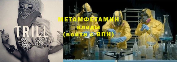 ГАЛЛЮЦИНОГЕННЫЕ ГРИБЫ Осинники