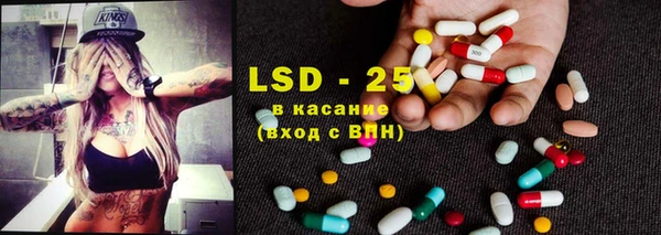 ГАЛЛЮЦИНОГЕННЫЕ ГРИБЫ Осинники