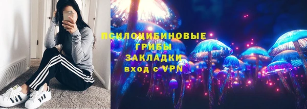 ГАЛЛЮЦИНОГЕННЫЕ ГРИБЫ Осинники