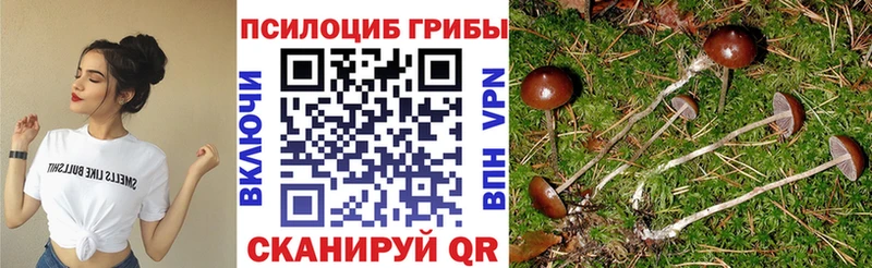 Псилоцибиновые грибы ЛСД  Нефтекумск 