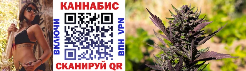 Бошки марихуана Bruce Banner  Нефтекумск 